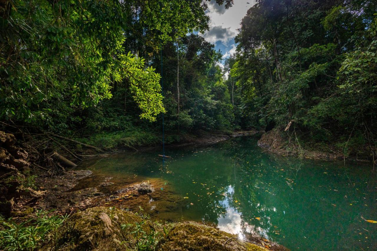 Drake Bay River View エクステリア 写真
