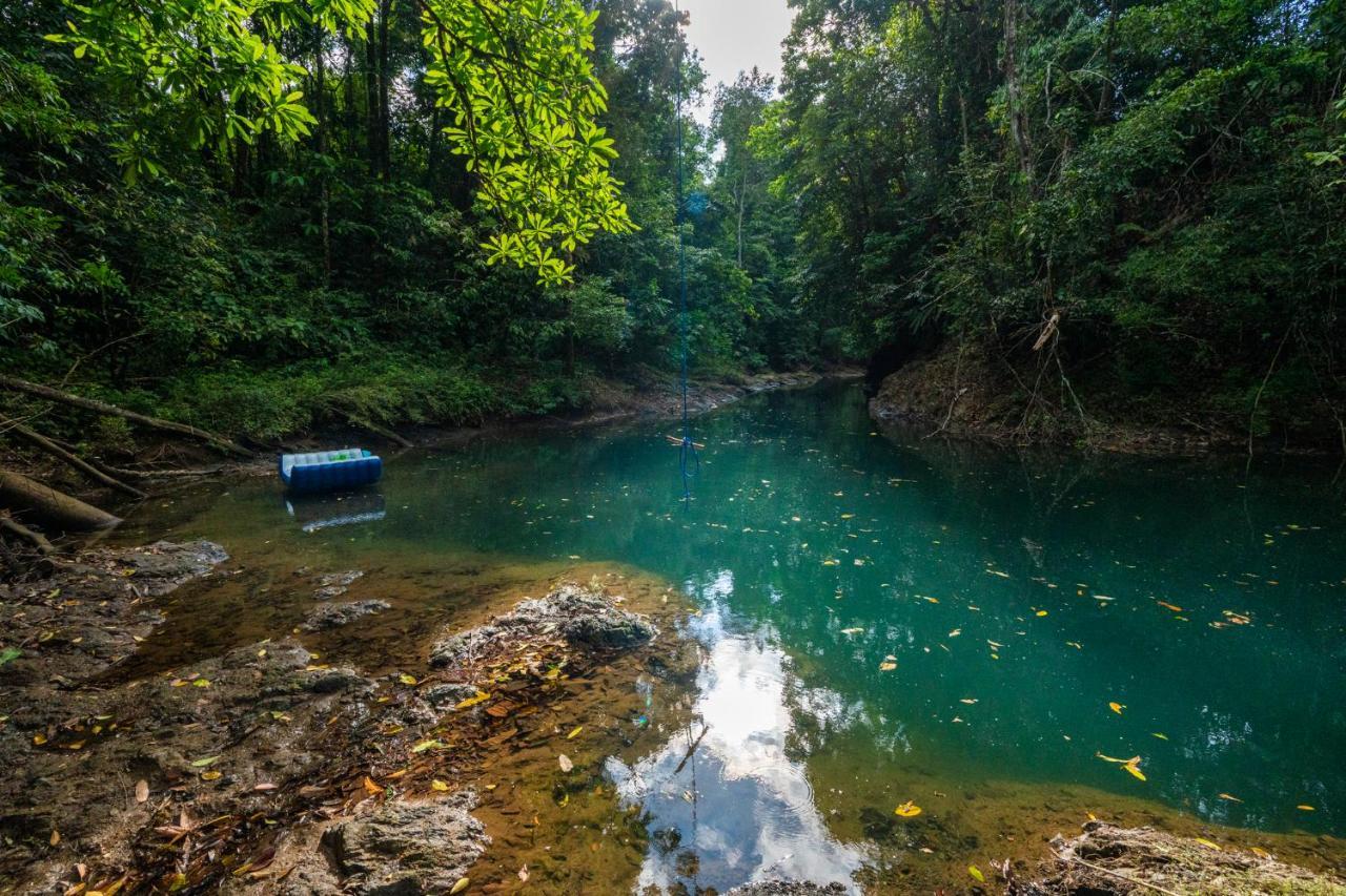 Drake Bay River View エクステリア 写真