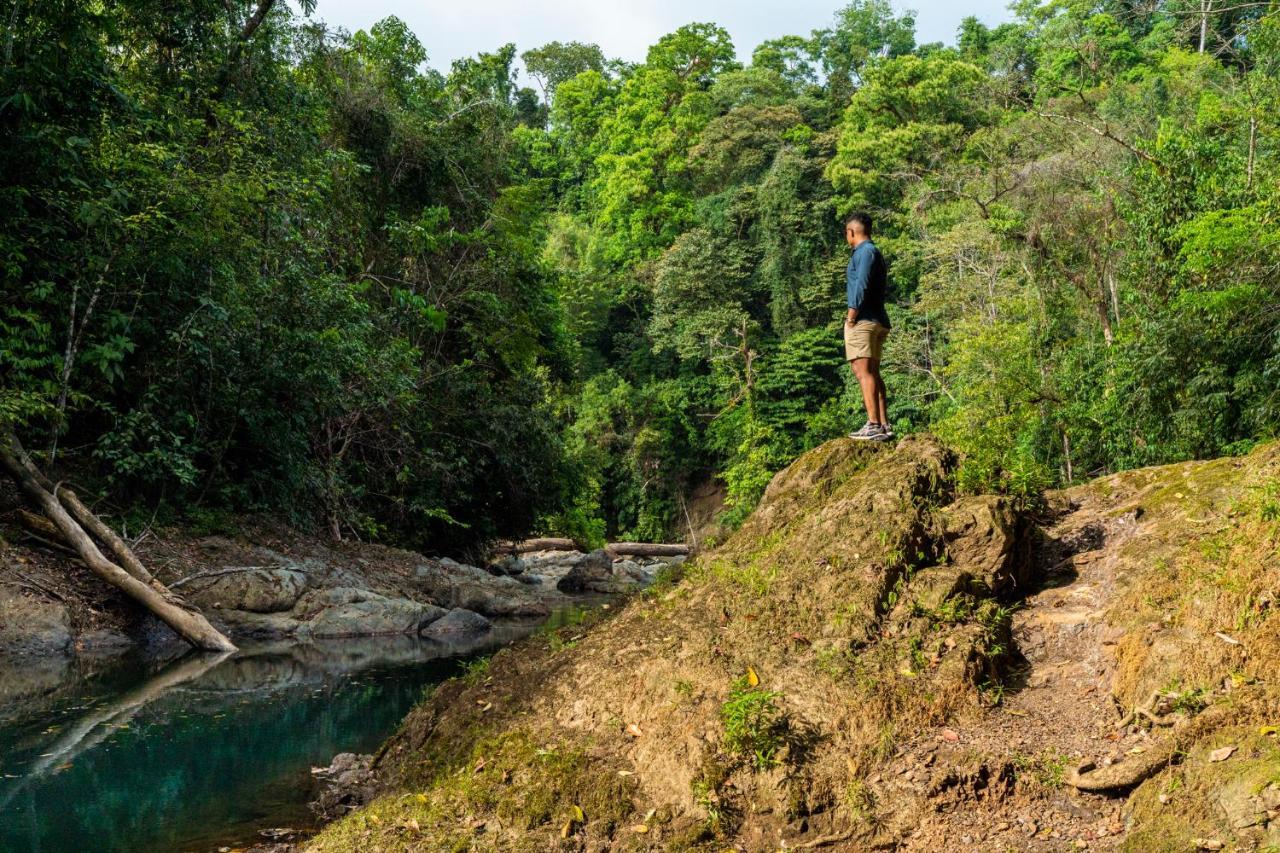 Drake Bay River View エクステリア 写真