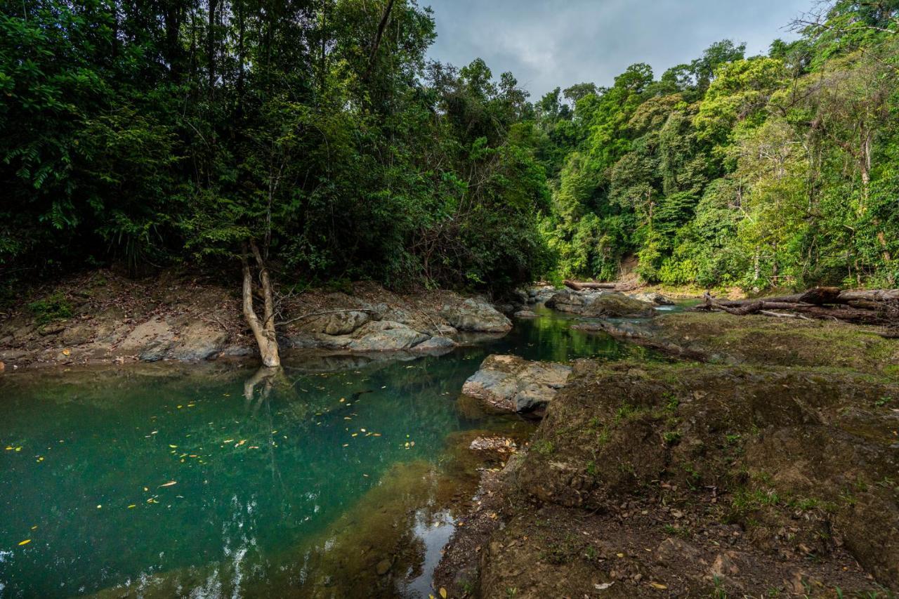 Drake Bay River View エクステリア 写真