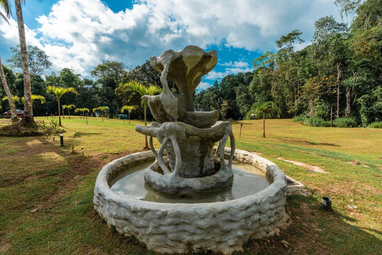 Drake Bay River View エクステリア 写真