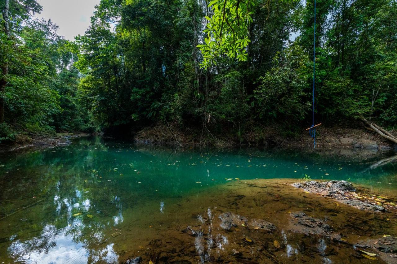 Drake Bay River View エクステリア 写真