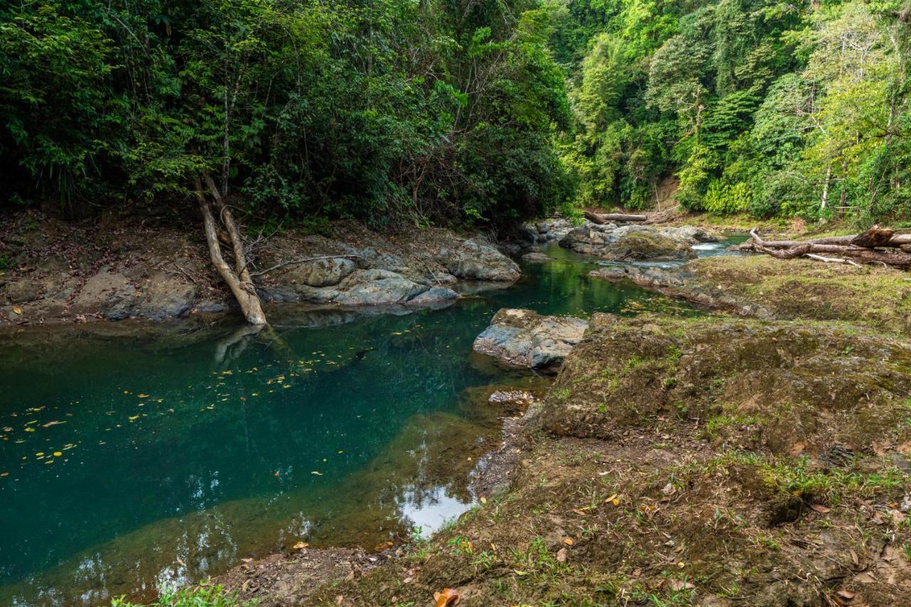 Drake Bay River View エクステリア 写真