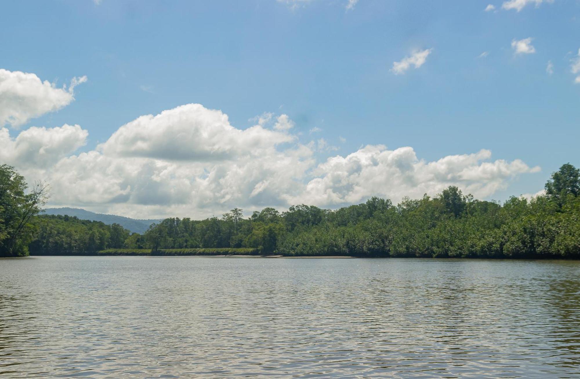 Drake Bay River View エクステリア 写真