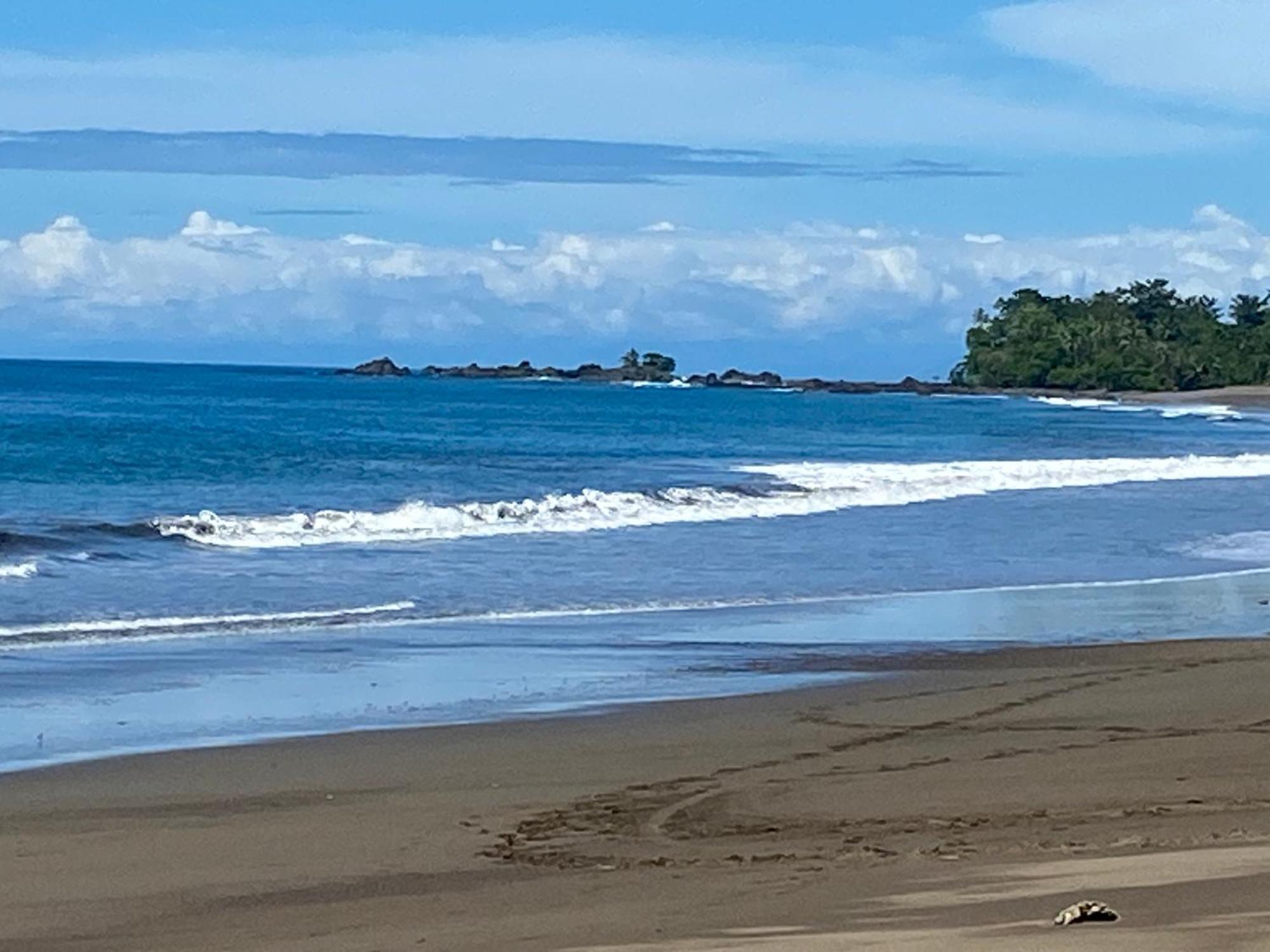 Drake Bay River View エクステリア 写真