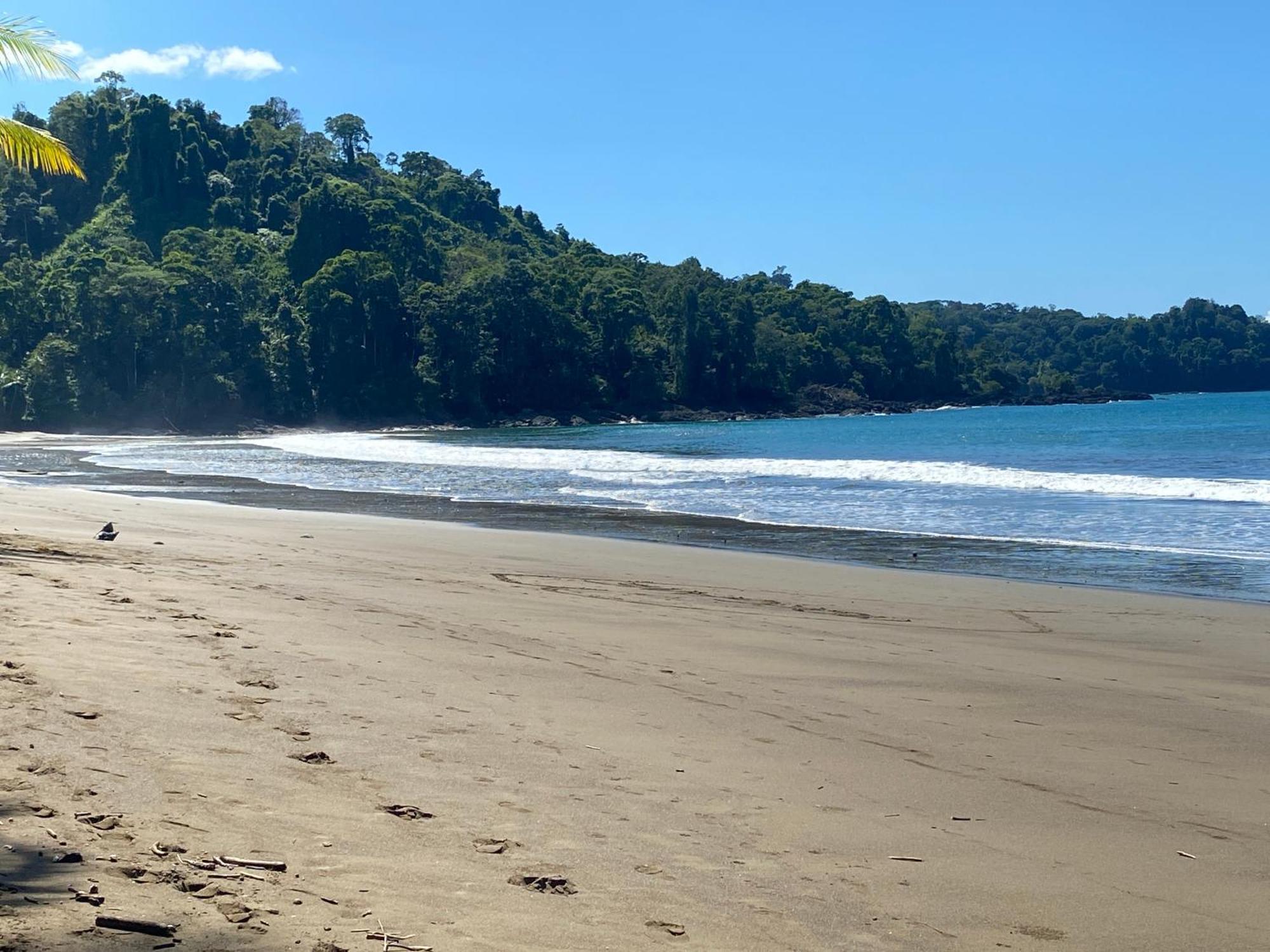 Drake Bay River View エクステリア 写真