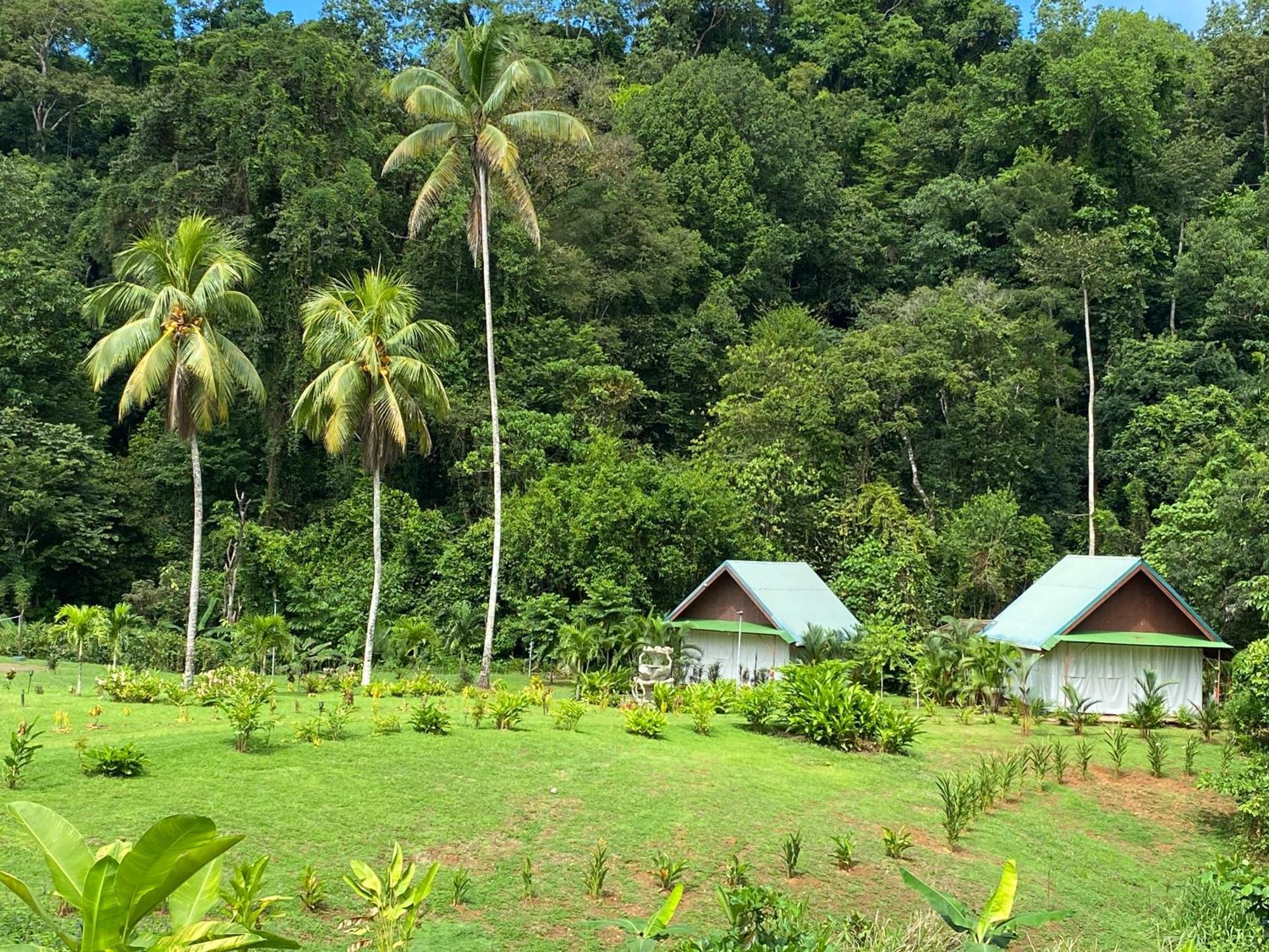 Drake Bay River View エクステリア 写真