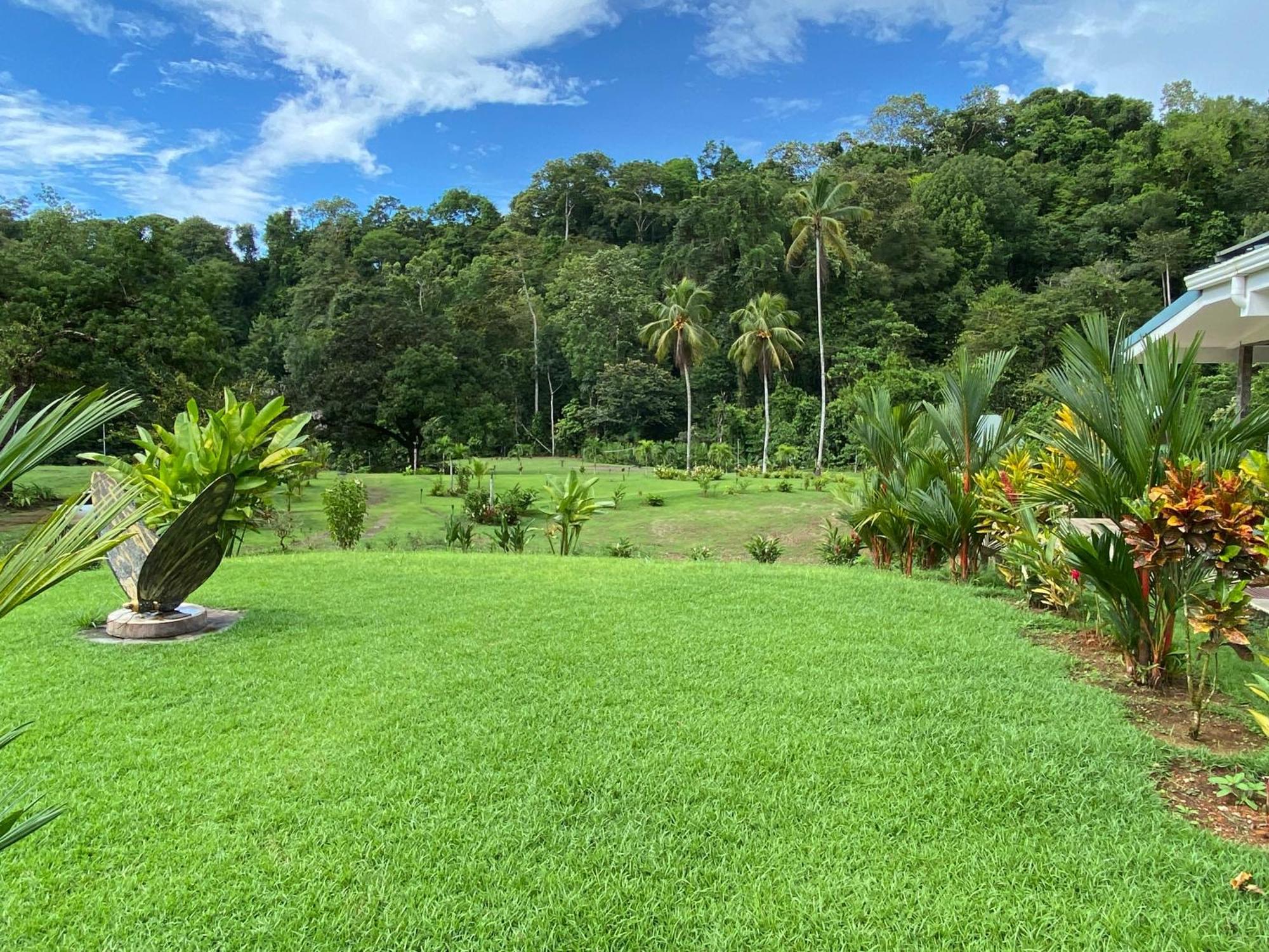 Drake Bay River View エクステリア 写真