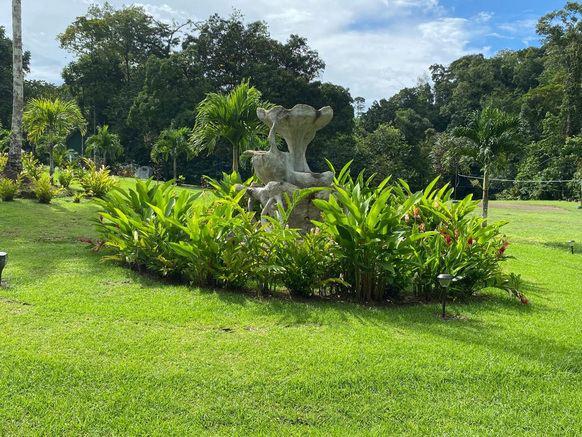 Drake Bay River View エクステリア 写真